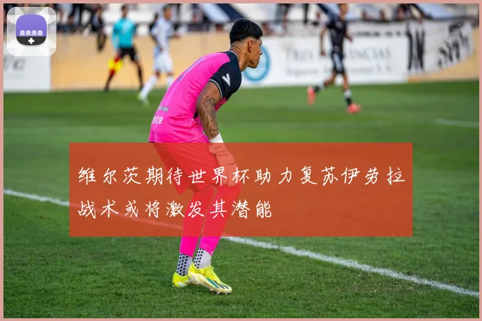 维尔茨期待世界杯助力复苏伊劳拉战术或将激发其潜能